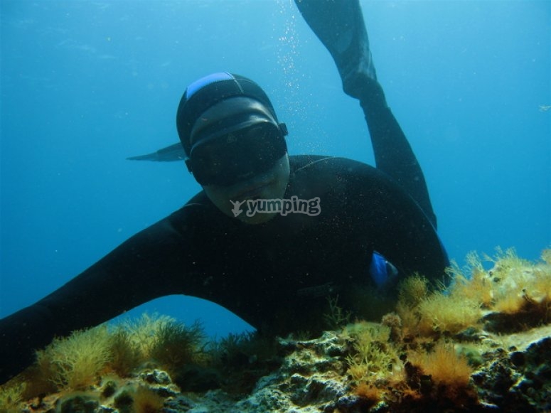 Haciendo apnea en el mar Haciendo apnea en el mar